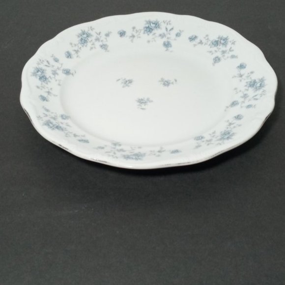 Dinner Plate Blue Garland by JOHANN HAVILAND 10' - Picture 4 of 4